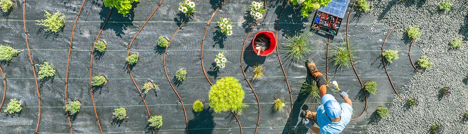 Baylands Landscaping - Bay Area Landscaper