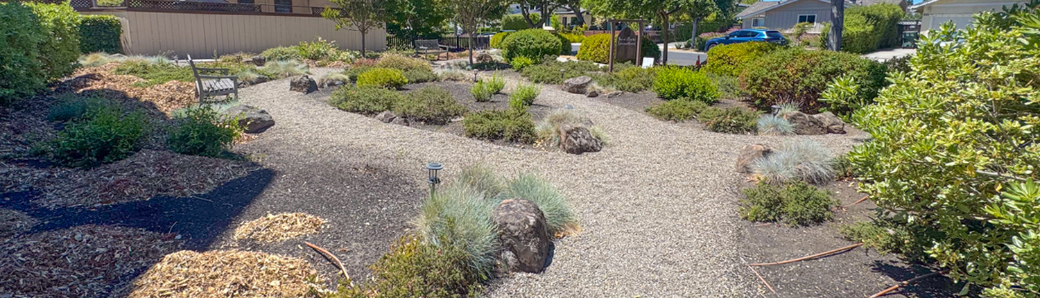 Baylands Landscape Management