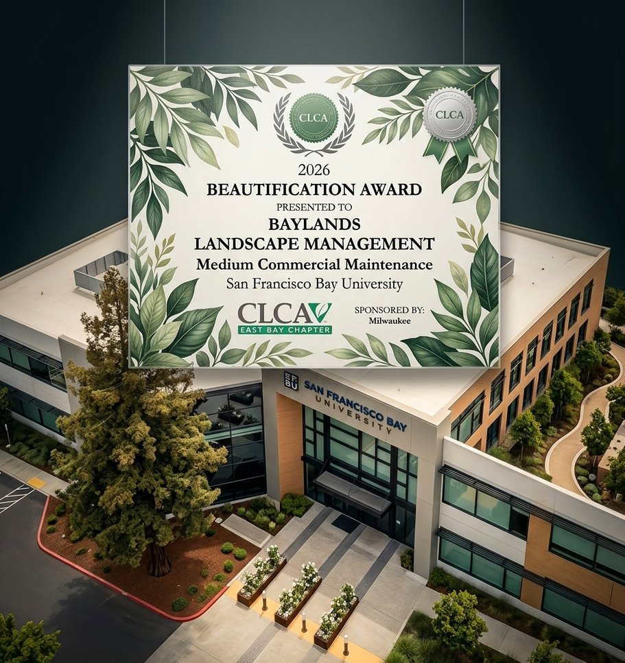 Baylands landscaping award